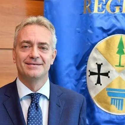 Incendi in Calabria, Gallo: «Il Pd non sa di cosa parla, con Occhiuto -77% di ettari di bosco andati in fumo»