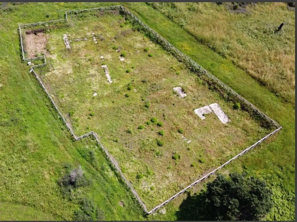 Rosarno, sedici ulivi nel parco archeologico dell’antica Medma