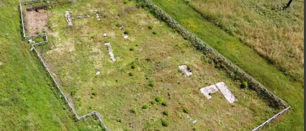 Rosarno, sedici ulivi nel parco archeologico dell’antica Medma