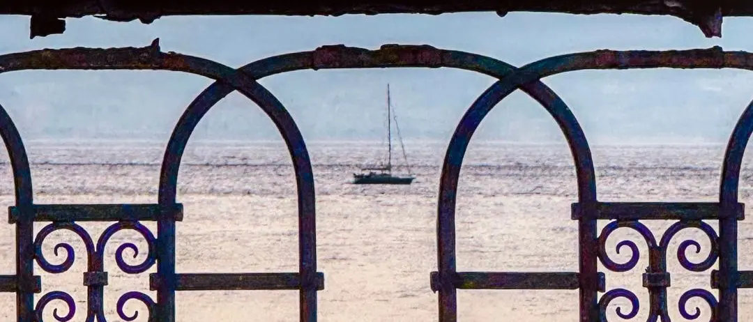 LA FOTO DEL GIORNO | Tra riccioli e mare: un tramonto incorniciato