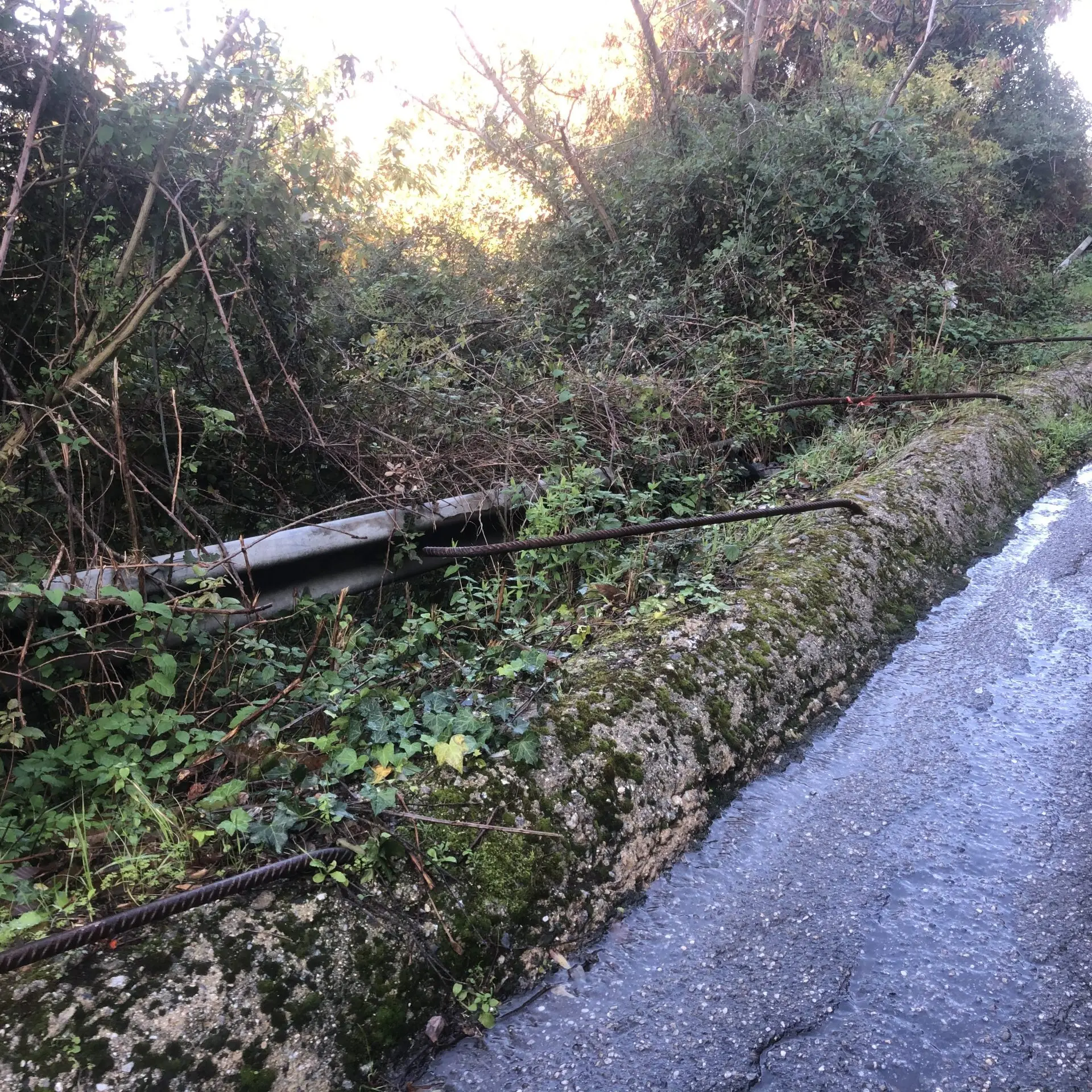 Cantiere abbandonato da oltre 10 anni. Arrivano 300 mila euro per la Sp 15 Scilla - Melia. FOTO E VIDEO