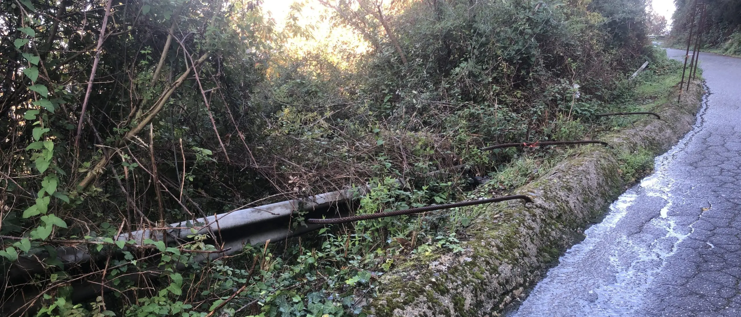 Cantiere abbandonato da oltre 10 anni. Arrivano 300 mila euro per la Sp 15 Scilla - Melia. FOTO E VIDEO