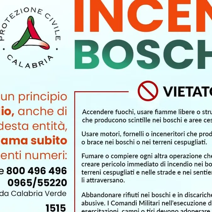 Reggio, prevenzione e lotta contro gli incendi boschivi: ordinanza del sindaco fino al 15 ottobre