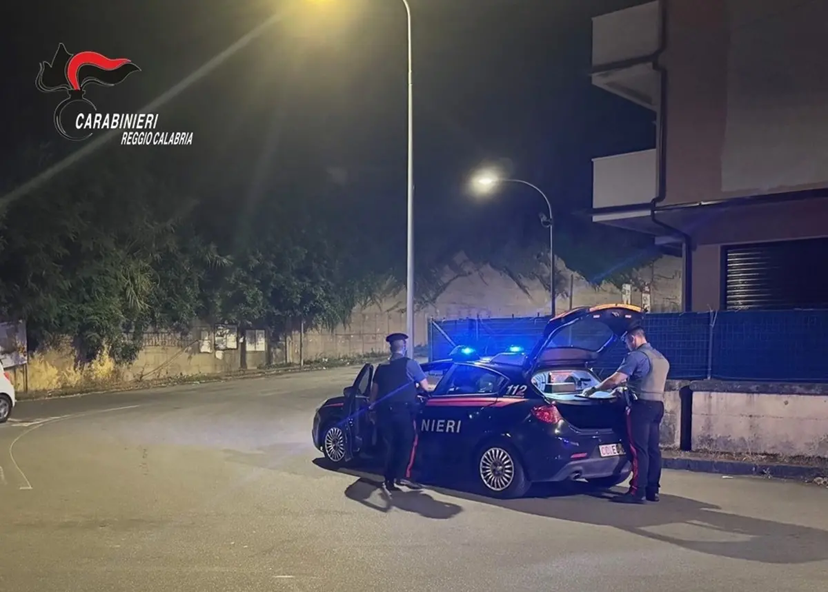 A Gioia Tauro una struttura abusiva, fuochi d'artificio illegali e armi improprie: quattro persone denunciate