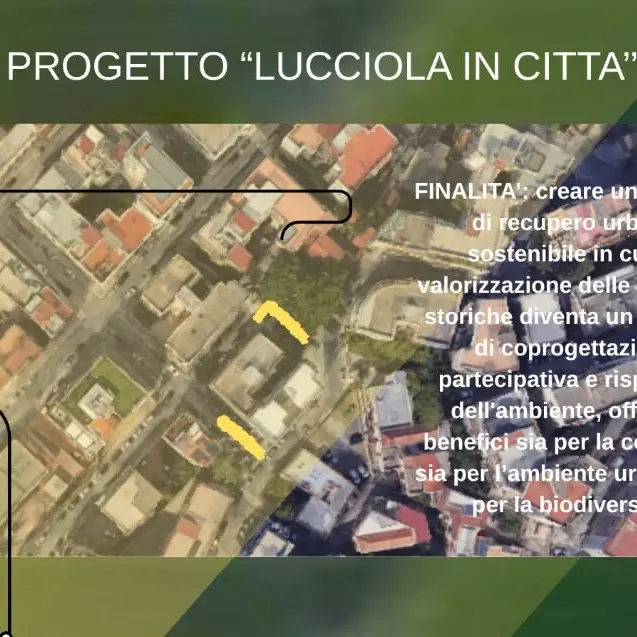 \"Lucciola in città\": a Reggio il progetto che trasforma le scalinate in arte urbana