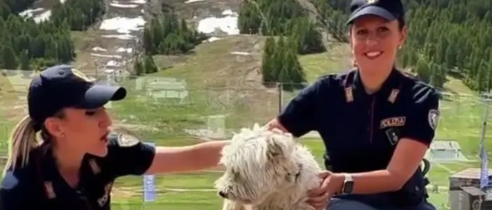 La campagna della Polizia di Stato contro l'abbandono di animali | VIDEO