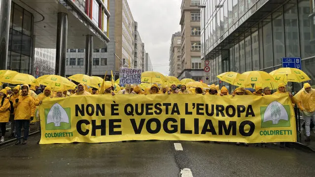 PAC, Coldiretti Calabria: «No al fondo unico Ue, è un rischio per l’agricoltura produttiva»