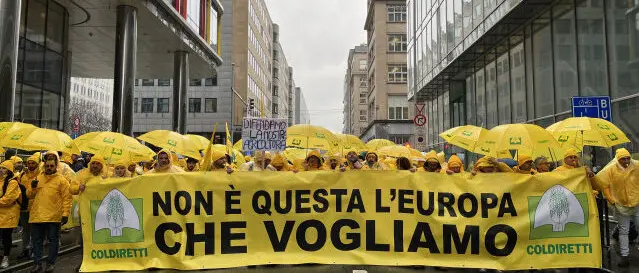 PAC, Coldiretti Calabria: «No al fondo unico Ue, è un rischio per l’agricoltura produttiva»