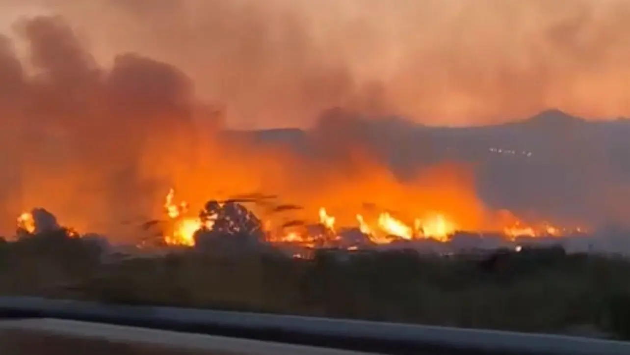 Locride, bruciano le colline tra Marina di Gioiosa e Siderno - VIDEO