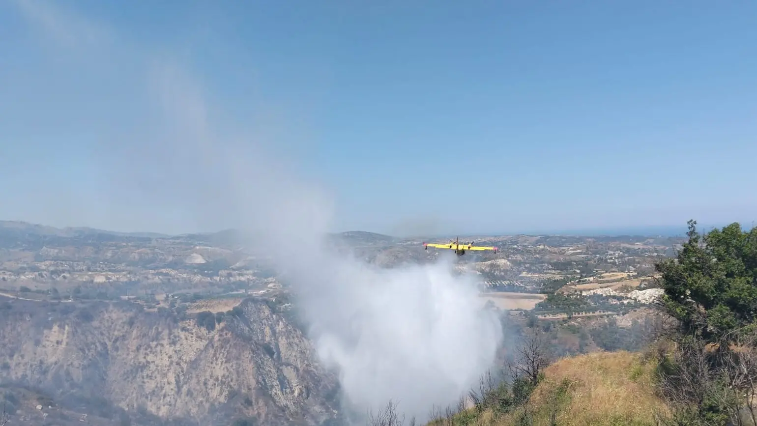 Locride, vasto incendio tra Caulonia e Roccella: in azione un Canadair