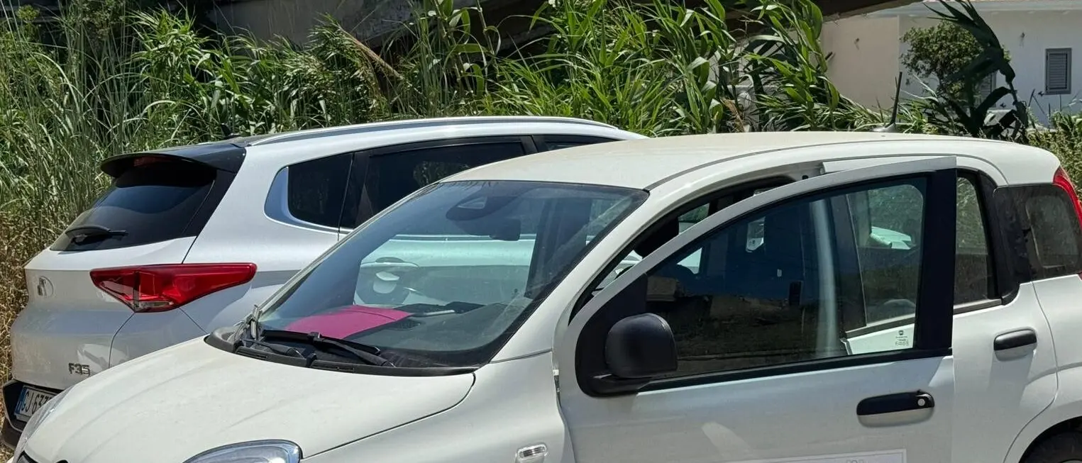 Atti vandalici contro Arpacal, l’assessore Calabrese: «Gesto vile e sconcertante, ma non ci fermeremo»