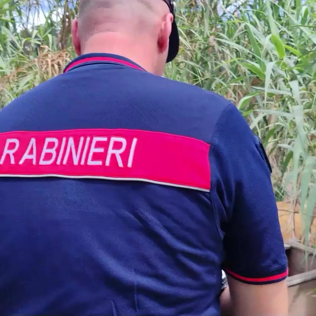 Piana di Gioia Tauro, Servizio anti roghi: Carabinieri denunciano 14 persone