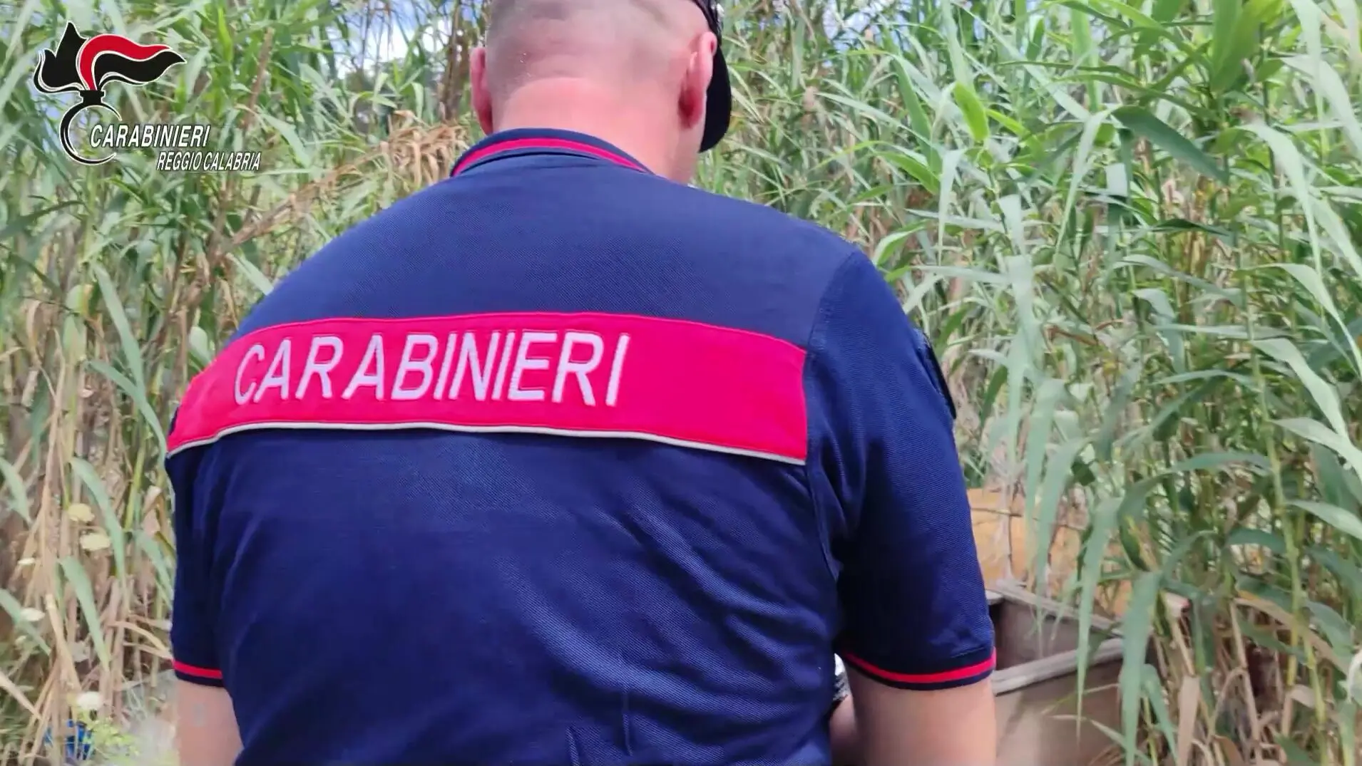 Piana di Gioia Tauro, Servizio anti roghi: Carabinieri denunciano 14 persone