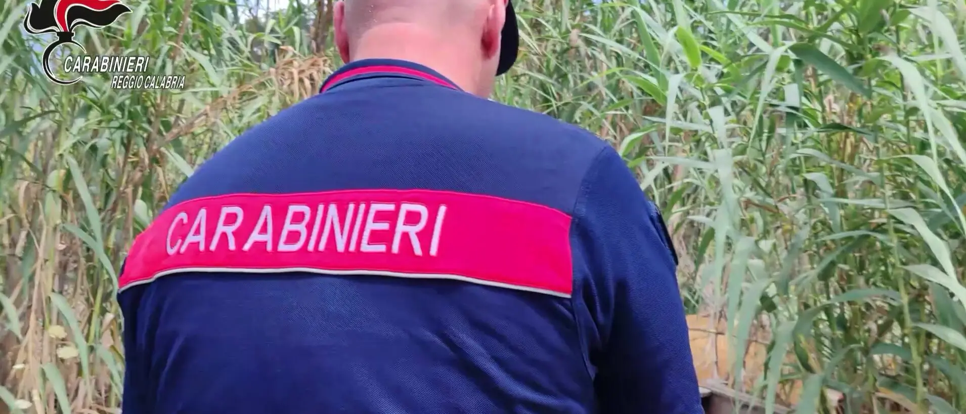 Piana di Gioia Tauro, Servizio anti roghi: Carabinieri denunciano 14 persone