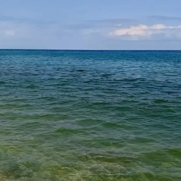 Allarme mare a San Ferdinando, Digiacco (FdI): «Segnalazioni inviate alla Regione, attivato il monitoraggio»