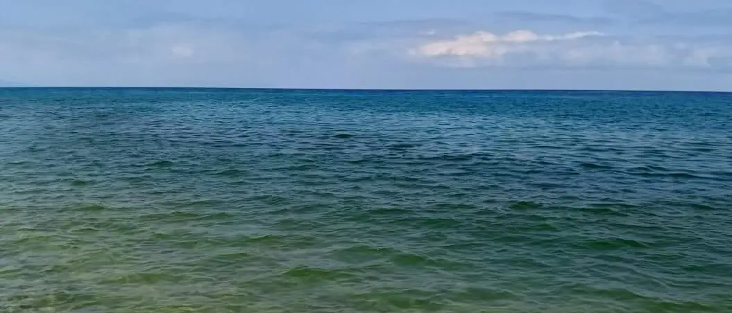 Allarme mare a San Ferdinando, Digiacco (FdI): «Segnalazioni inviate alla Regione, attivato il monitoraggio»