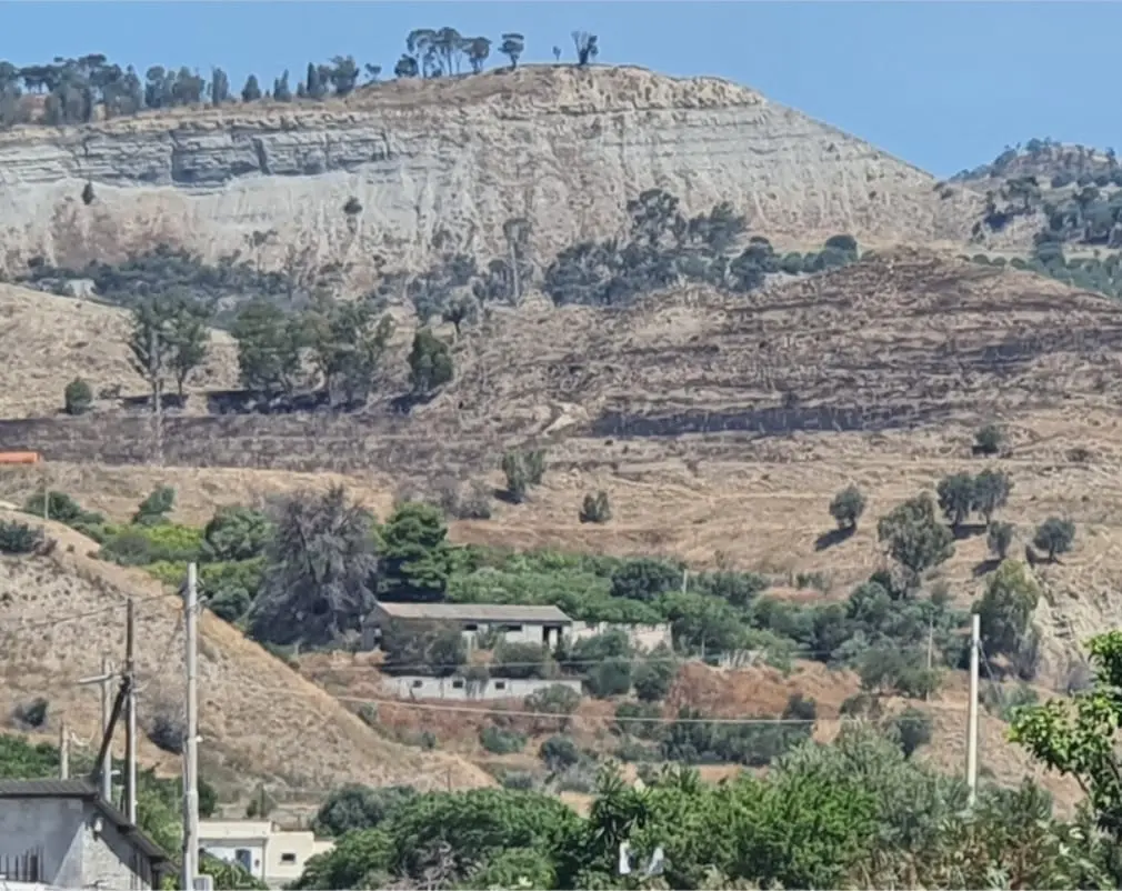 Il consigliere delegato Fuda sul terreno confiscato e incendiato a Melito Porto Salvo: «Ricostruiremo»