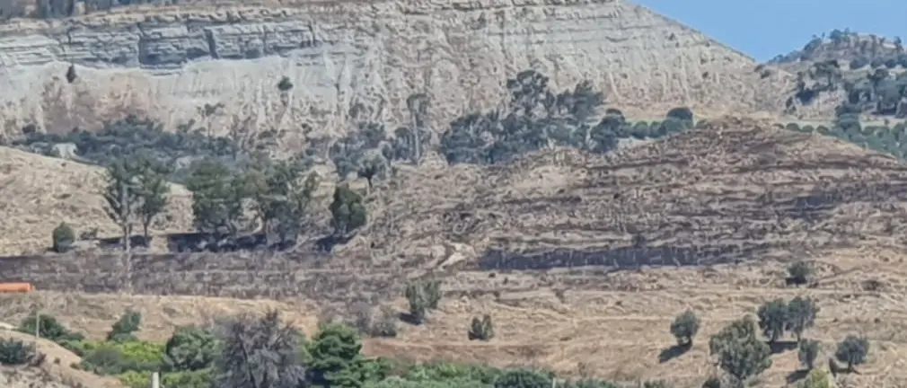Il consigliere delegato Fuda sul terreno confiscato e incendiato a Melito Porto Salvo: «Ricostruiremo»