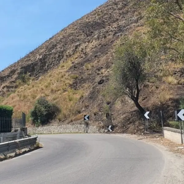 Incendi a Valle del Marro e Melito, il Pd reggino: «Serve una risposta più forte dello Stato»