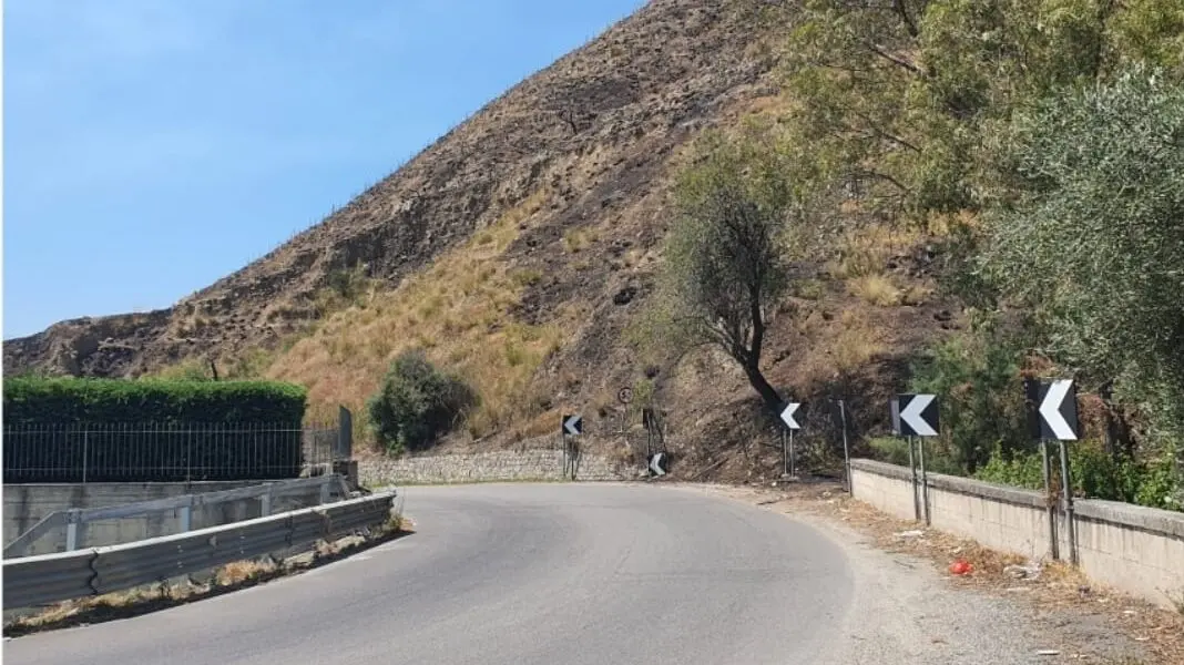 Incendi a Valle del Marro e Melito, il Pd reggino: «Serve una risposta più forte dello Stato»