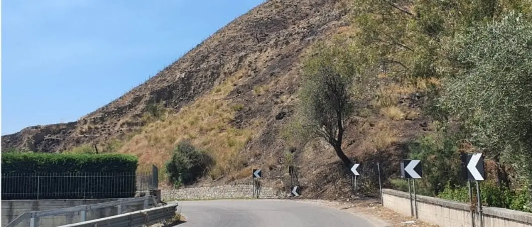 Incendi a Valle del Marro e Melito, il Pd reggino: «Serve una risposta più forte dello Stato»