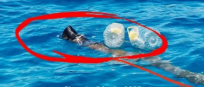 Scarico illecito, scoperto tubo tranciato a Gizzeria: Occhiuto promette controlli e invita i cittadini a segnalare