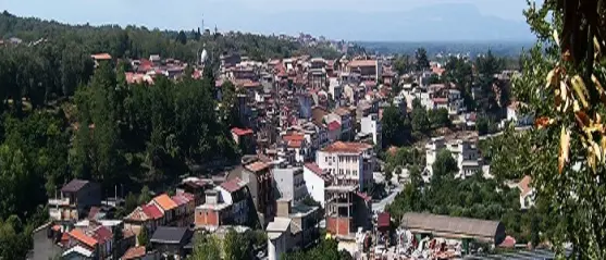 Coronavirus, il Pd di Cinquefrondi chiede l'utilizzo delle aree verdi per i disabili