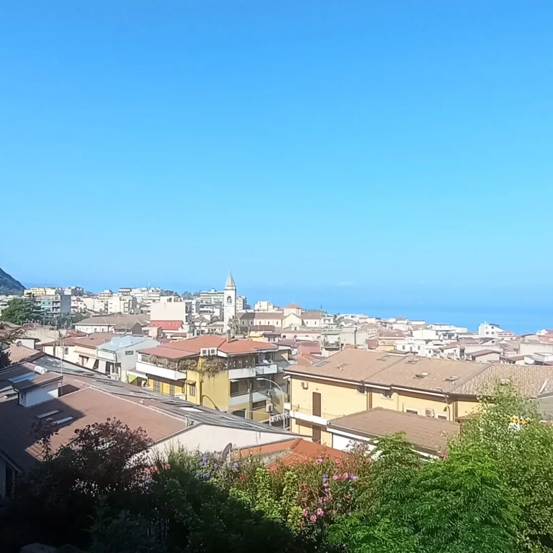 Palmi, scoperti allacci abusivi alla rete idrica. Il sindaco Ranuccio: «Comportamenti inaccettabili»