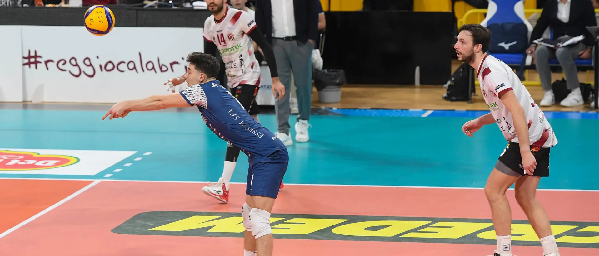 Domotek Volley: Massimiliano Lopetrone riconfermato