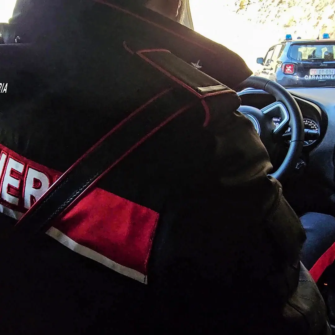 Controlli dei Carabinieri ad Africo e Brancaleone: sequestrati 280 kg di alimenti e sanzioni per oltre 9.000 euro