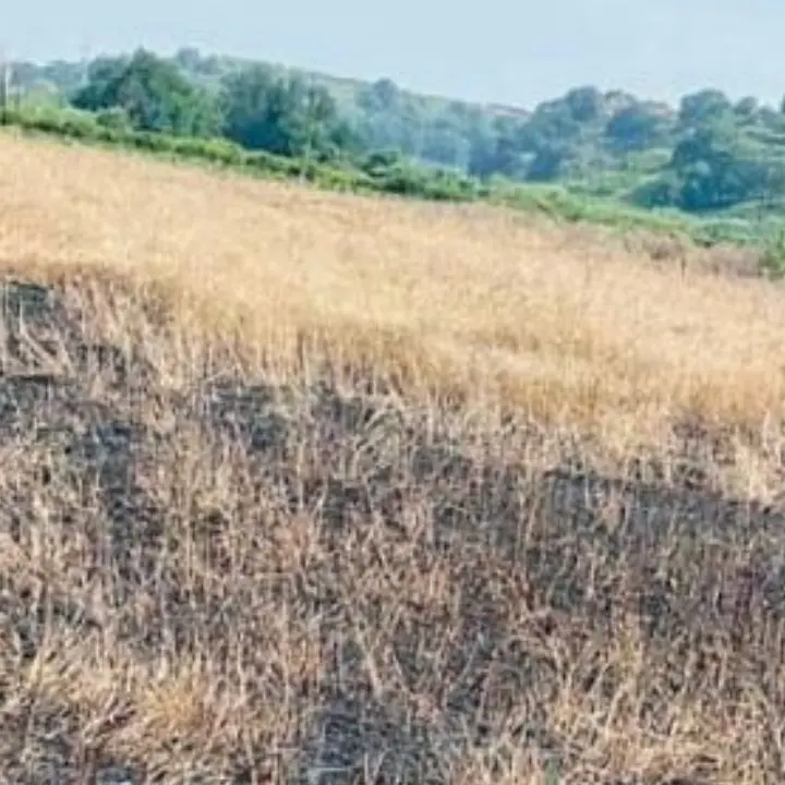 Gioia Tauro, il Lions Club Polistena Brutium vicino alla cooperativa Valle del Marro - Libera Terra