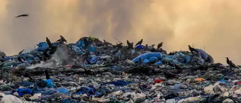 Ecomafie, in Calabria è allarme rosso per reati legati ai rifiuti