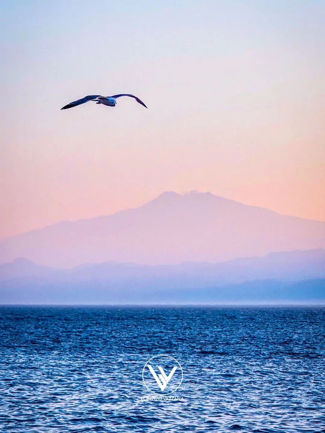 LA FOTO DEL GIORNO | Ali sul Mediterraneo