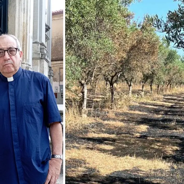 Danneggiamento Cooperativa Valle del Marro Libera Terra. Don Pino De Masi:«Abbiamo vinto la paura, sconfiggeremo anche loro»