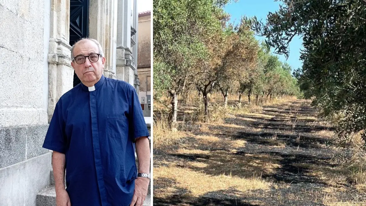 Danneggiamento Cooperativa Valle del Marro Libera Terra. Don Pino De Masi:«Abbiamo vinto la paura, sconfiggeremo anche loro»