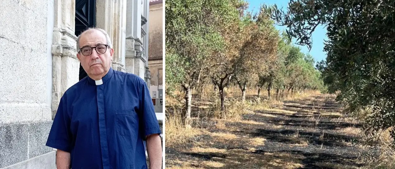 Danneggiamento Cooperativa Valle del Marro Libera Terra. Don Pino De Masi:«Abbiamo vinto la paura, sconfiggeremo anche loro»
