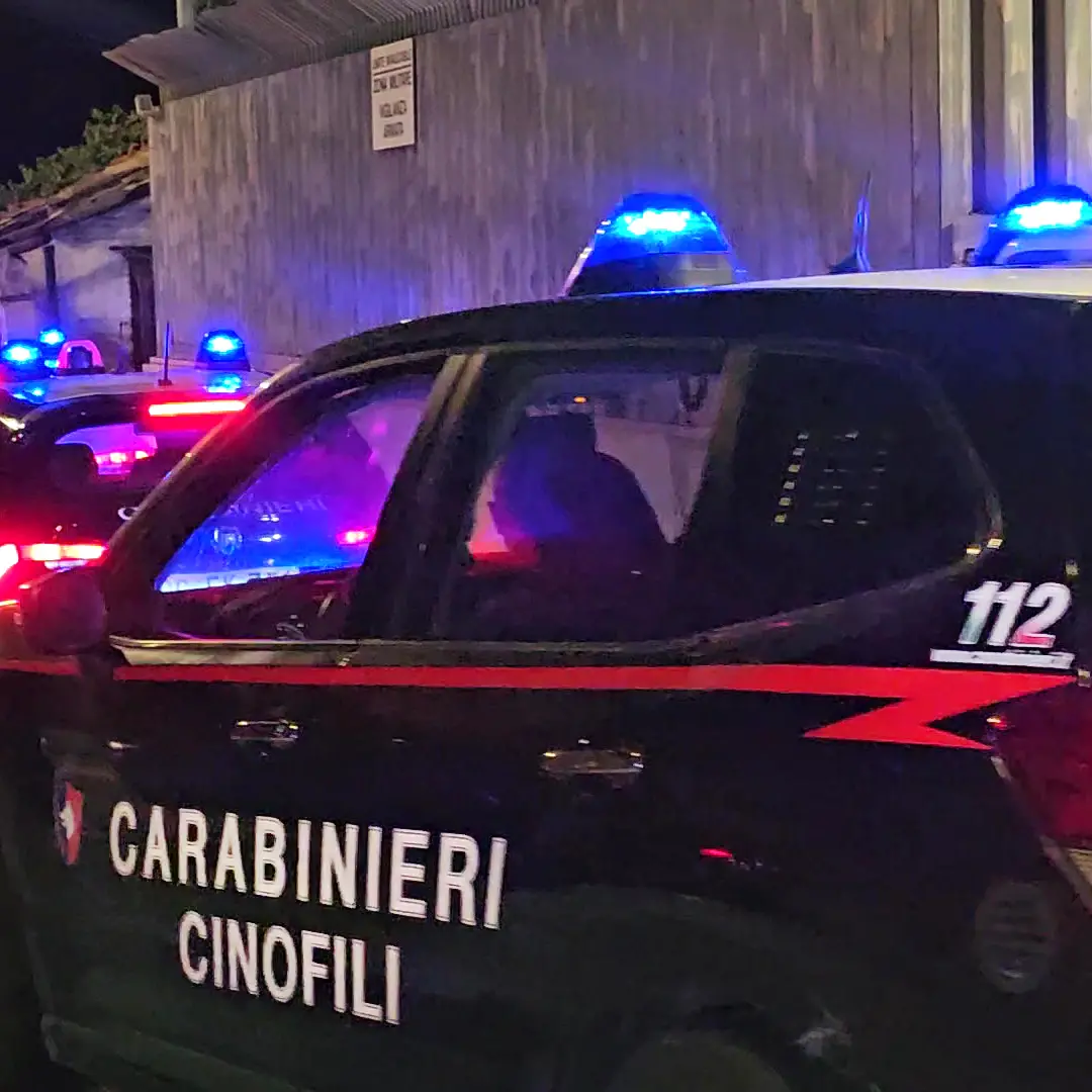 Operazione \"Arangea Bis\", catturato in spagna un latitante dai Carabinieri di Reggio Calabria