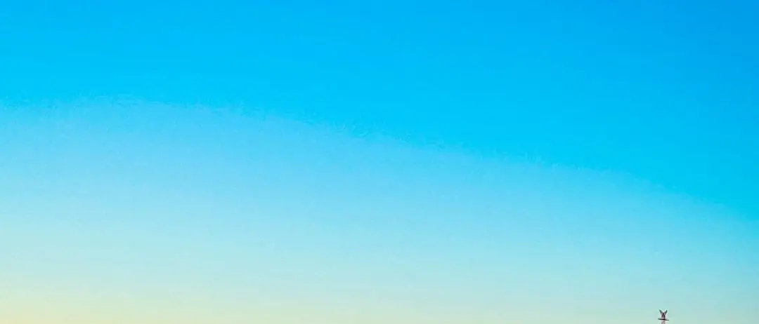 LA FOTO DEL GIORNO | Insieme verso l'orizzonte