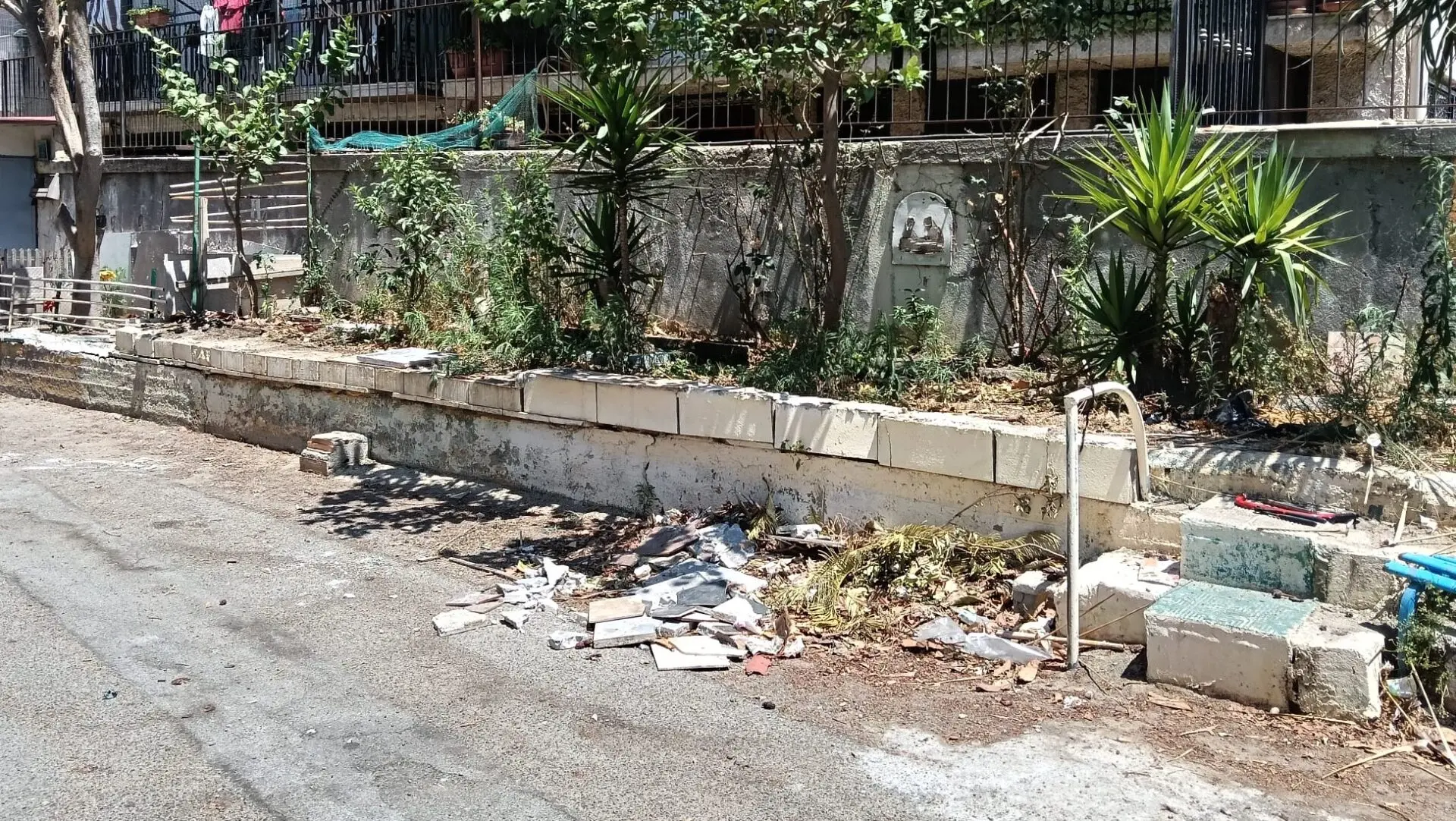 Reggio, distrugge parte di un’aiuola comunale al rione Modena: bloccata e denunciata