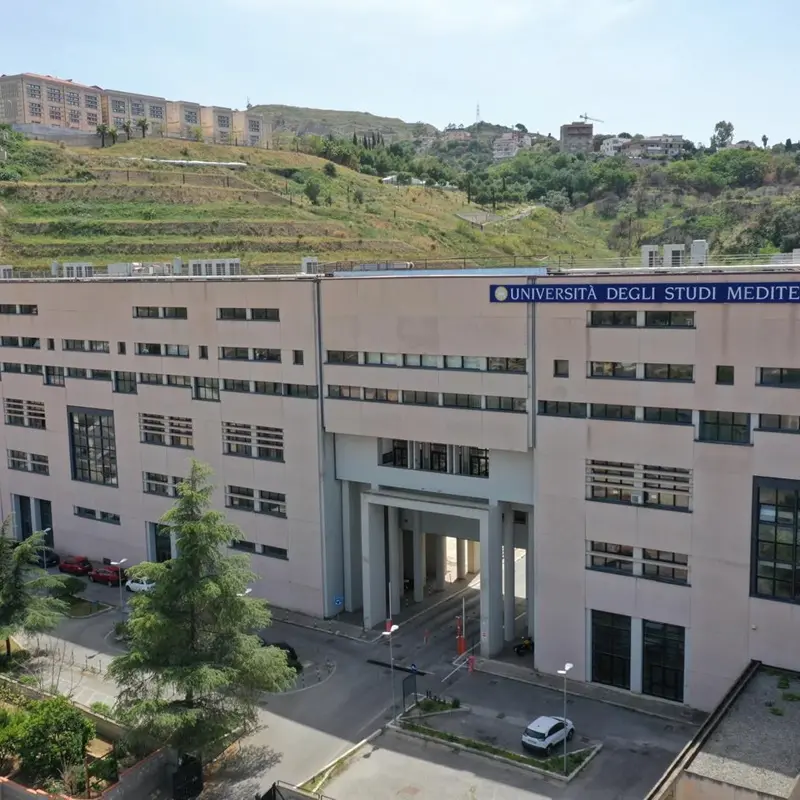 Mediterranea Reggio, corsi di laurea in Economia una formazione di qualità al passo con i tempi