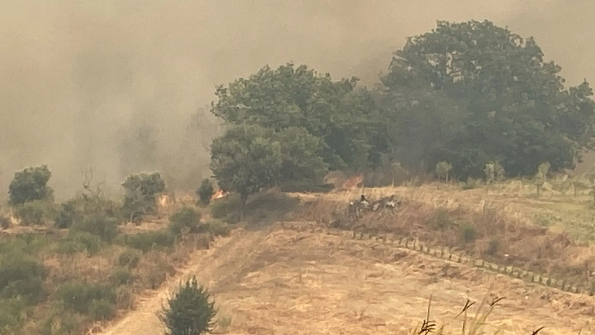 Inferno di fuoco nelle campagne di Roccella, distrutti circa 35 ettari di macchia mediterranea - FOTO