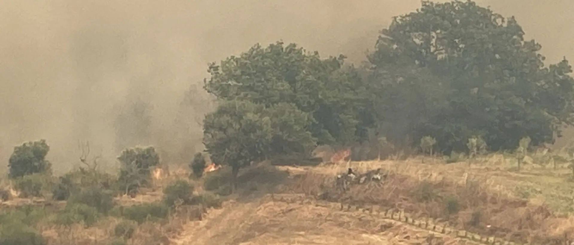 Inferno di fuoco nelle campagne di Roccella, distrutti circa 35 ettari di macchia mediterranea - FOTO