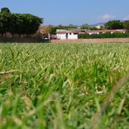 Reggina, il programma allenamenti dal 22 al 31 luglio