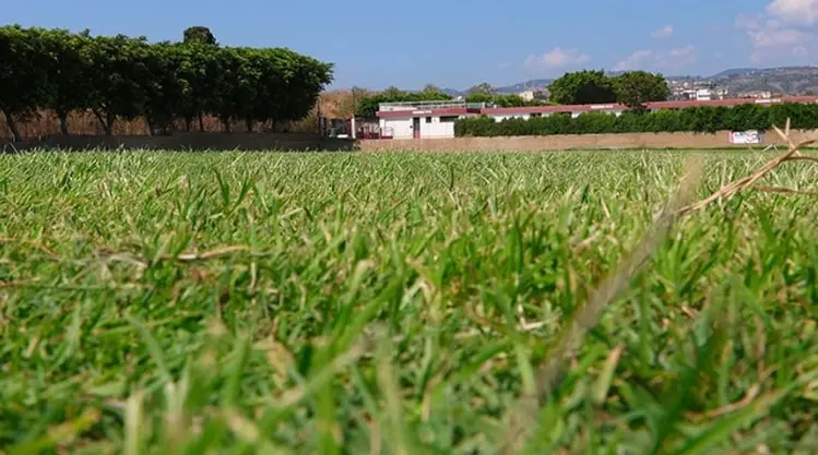 Reggina, il programma allenamenti dal 22 al 31 luglio