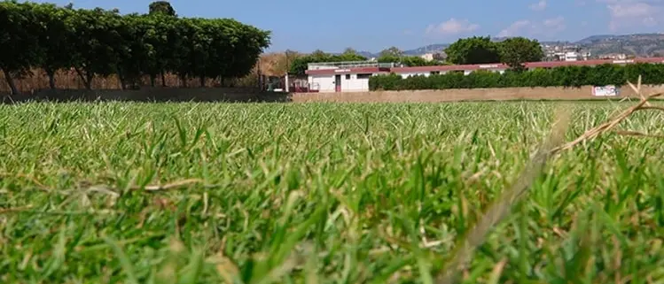 Reggina, il programma allenamenti dal 22 al 31 luglio