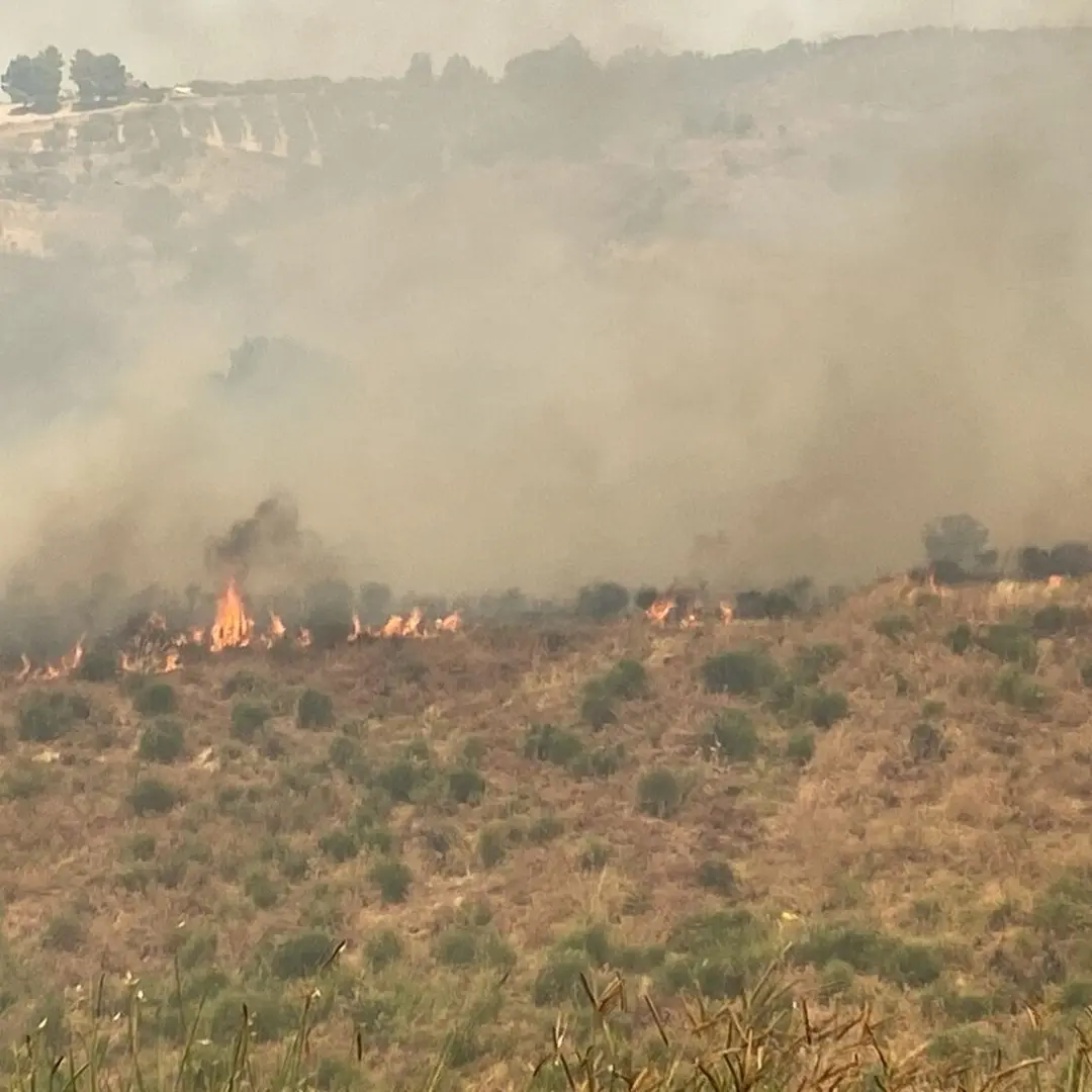 La Locride nella morsa degli incendi, roghi da Gerace a Roccella - LIVE