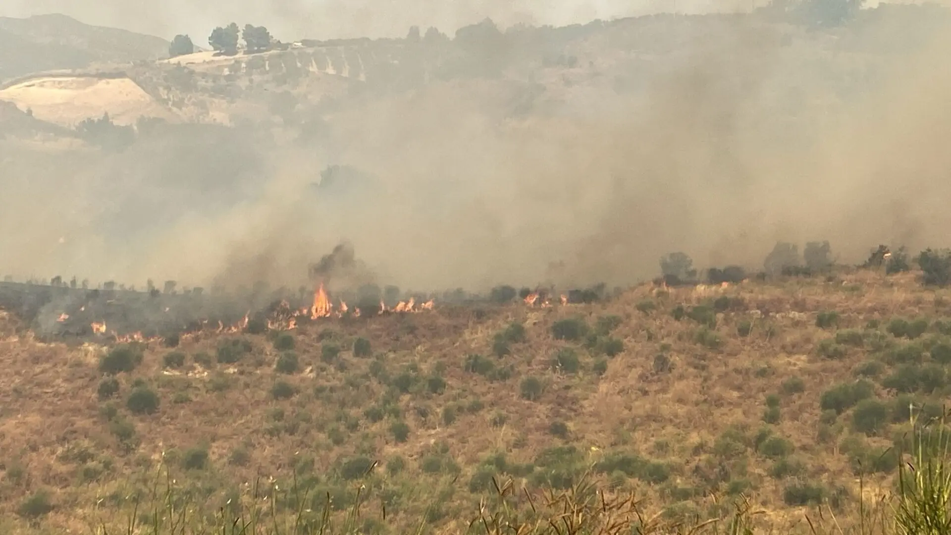 La Locride nella morsa degli incendi, roghi da Gerace a Roccella - LIVE