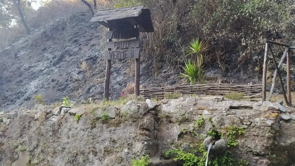 Bagnara, incendiato campo di grano antico gestito da volontari