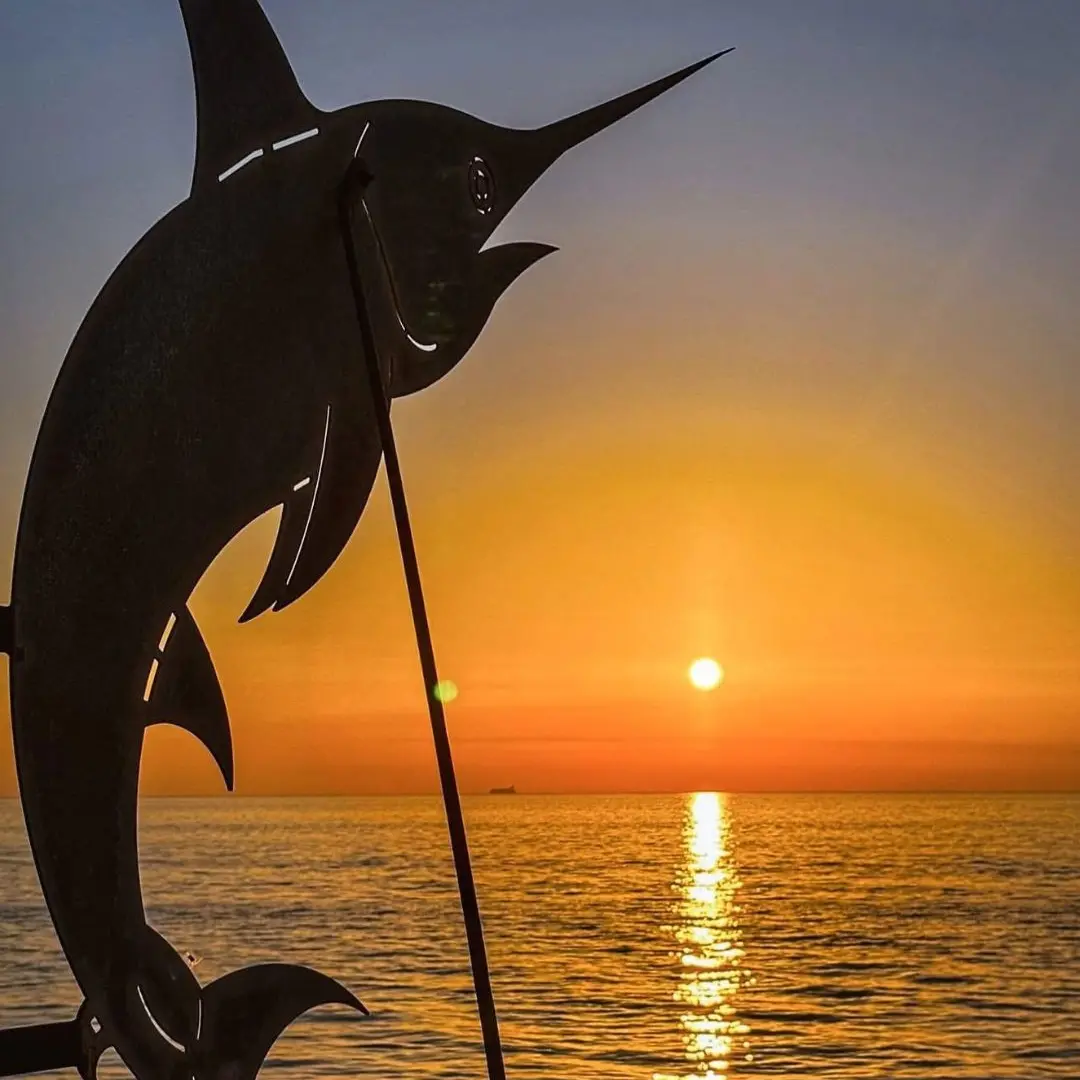 LA FOTO DEL GIORNO | Guardiano dello Stretto