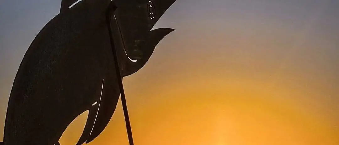 LA FOTO DEL GIORNO | Guardiano dello Stretto